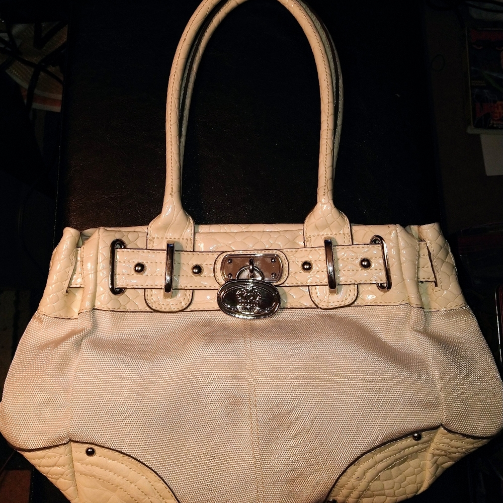 Kathy Van Zealand Purse amazing feel - buckle :)